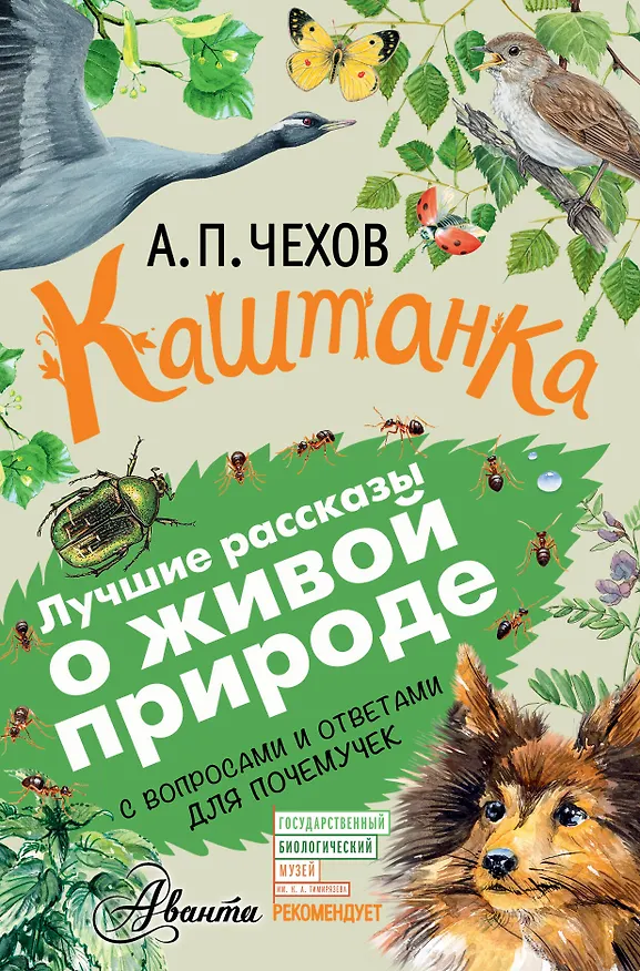 Книга Каштанка (Антон Чехов) — 1