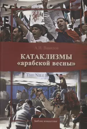 Катаклизмы "арабской весны" — 2712591 — 1