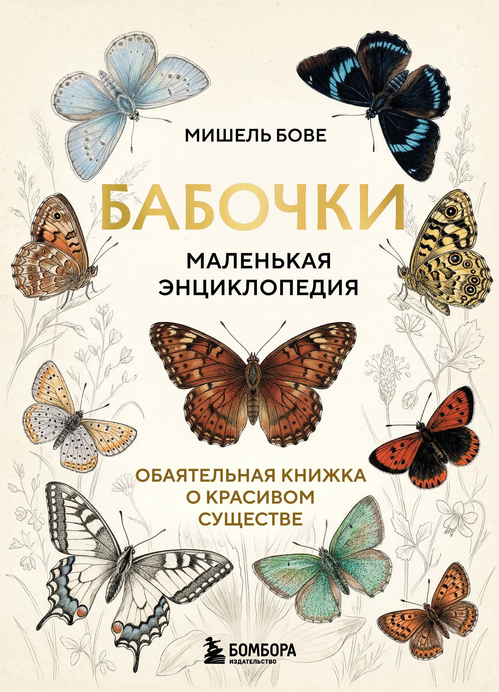 Бове Мишель Бабочки! Маленькая энциклопедия. Обаятельная книжка о красивом существе