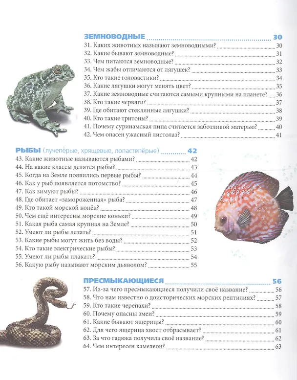 Книга Животный мир () — 7