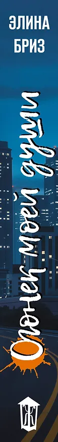 Книга Огонек моей души (Элина Бриз) — 4