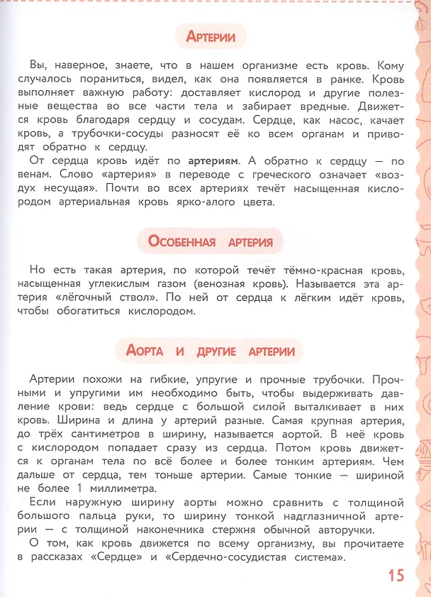 Книга Анатомия для детей (Андрей Богдарин) — 6