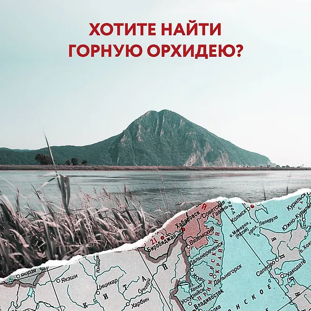 Книга 1000 лучших мест России, которые нужно увидеть за свою жизнь, 4-е издание (стерео-варио Орел) (Юлия Пятницына, Вита Пристромова, О.В. Добросинская) — 10
