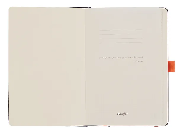 Книга для записей A5, 100 листов в линейку, Schiller 3107716 — 4