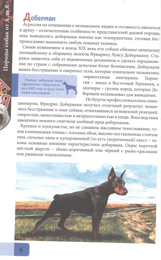 Книга ЭНЦИКЛОПЕДИЯ. В МИРЕ ЗНАНИЙ. ПОРОДЫ СОБАК ОТ А ДО Я () — 4