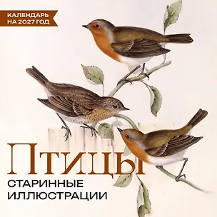 Птицы. Старинные иллюстрации. Календарь на 2027 год 3177401
