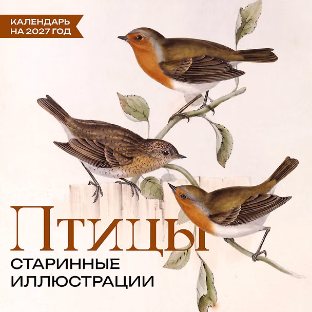 Календарь 2027г 300*300 "Птицы. Старинные иллюстрации" настенный, на скрепке 3177401 — 1