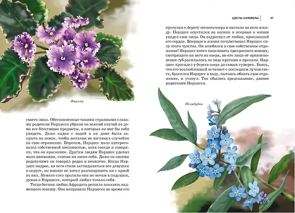 Книга Цветы : Школьный путеводитель () — 4