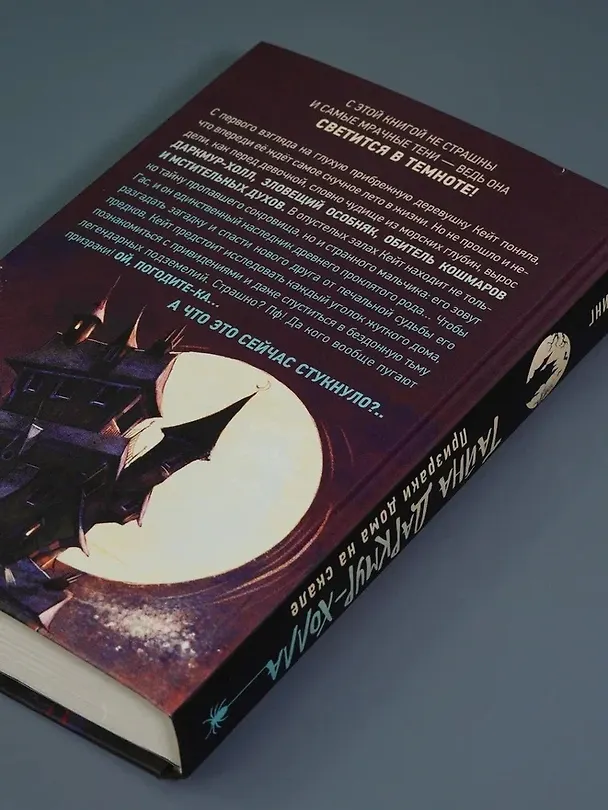 Книга Тайна Даркмур-Холла. Призраки дома на скале (Нина Шевелинг) — 15