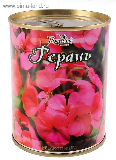 Цветок в банке "Герань" (410435) 2371570 — 1