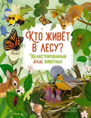 Кто живёт в лесу? Иллюстрированный атлас животных — 3050814 — 1