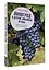 Виноград и другие любимые ягоды. Правила и советы для начинающих — 7965027 — 3
