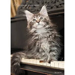 Тетрадь для нот Unnika, "Любимый аккорд (кот)", А4, 24 листа 351568