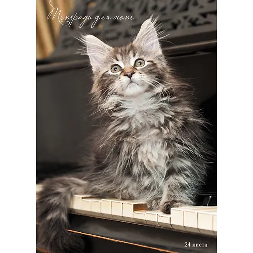 Тетрадь для нот Unnika, "Любимый аккорд (кот)", А4, 24 листа 351568 — 1
