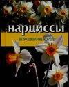 

Нарциссы: Выращивание и уход