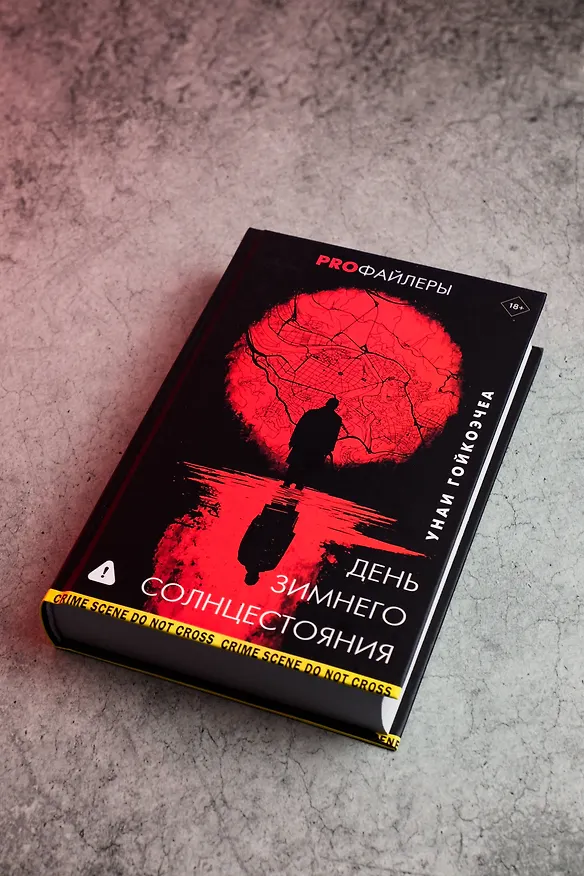 Книга День зимнего солнцестояния (Унаи Гойкоэчеа) — 9
