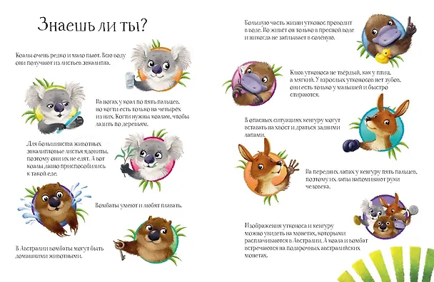 Книга Малыш Коала находит друзей (Ирина Зартайская) — 5