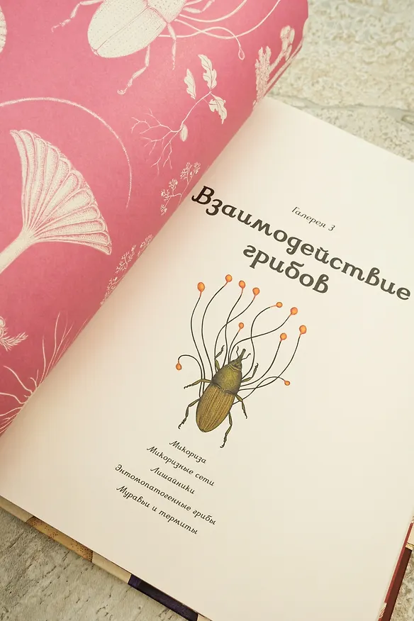 Книга Грибариум (Дэвид Л. Хауксворт, Лора М. Сьюз, Пепейн В. Кой, Каре Лиматайнен) — 11