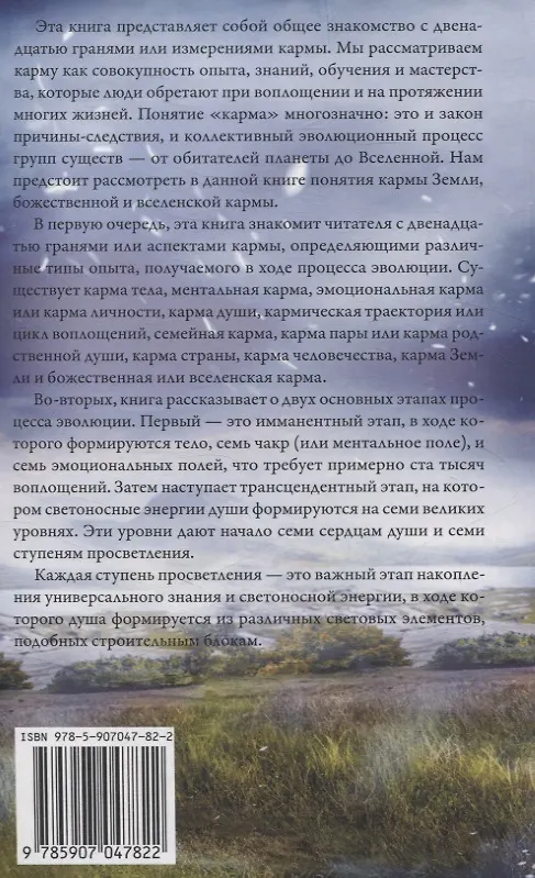 Книга 12 граней кармы. Священные книги просветления. Первая ступень просветления. (Родриго Базан Домингес) — 2