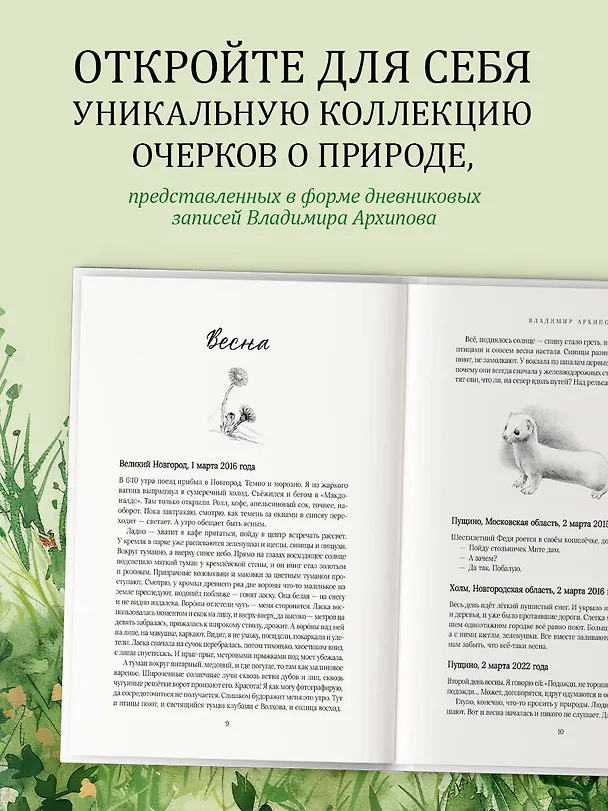 Книга Жужжание жука. Полевые и не очень дневники орнитолога (Владимир Архипов) — 6