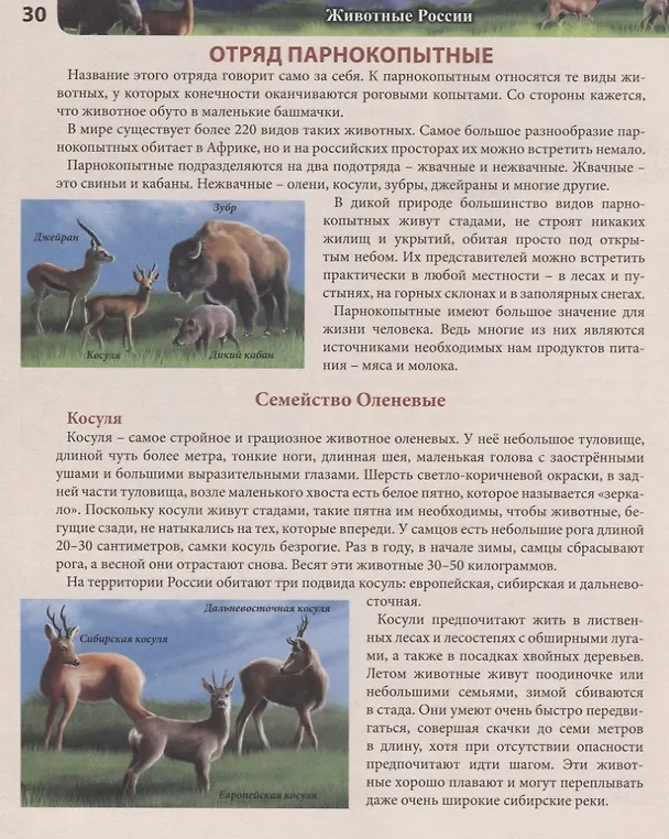 Книга Животные России. Энциклопедия (Леся Калугина) — 5