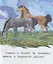 Лиса и козел. Крупные буквы. Короткие тексты — 2751160 — 3
