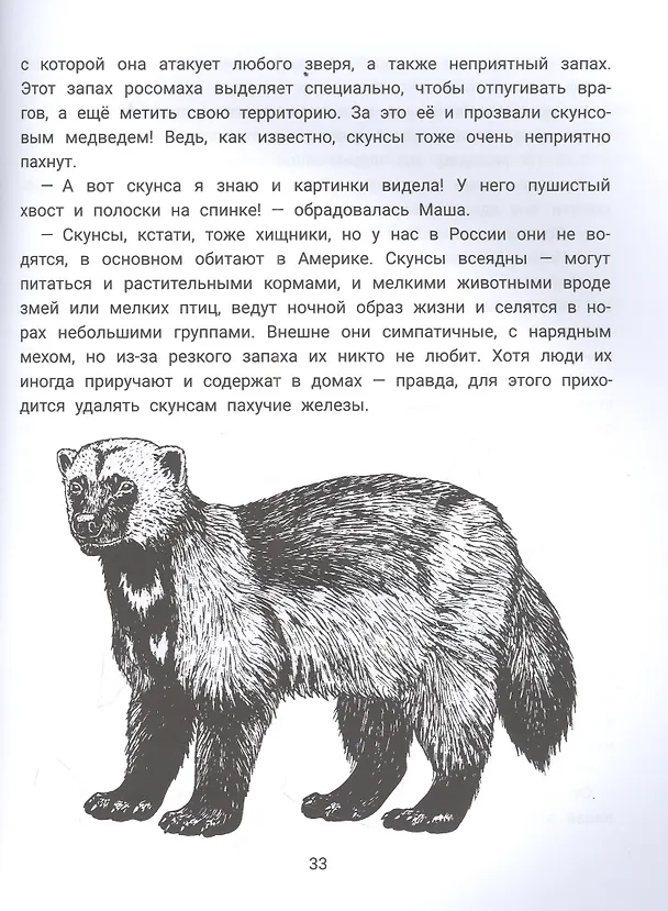 Книга Миша, Маша и хищники: логопедическая энциклопедия (Елена Молчанова, Валерия Салтанова) — 3