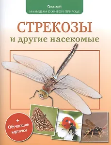 Стрекозы и другие насекомые (+обуч.карточки и раскраски)
