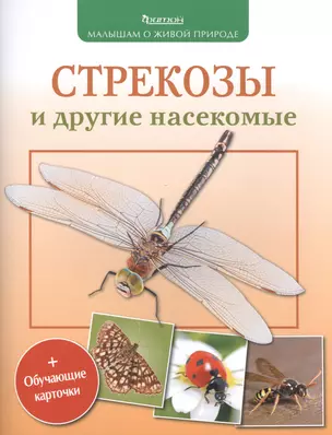 Стрекозы и другие насекомые (+обуч.карточки и раскраски) — 2506491 — 1