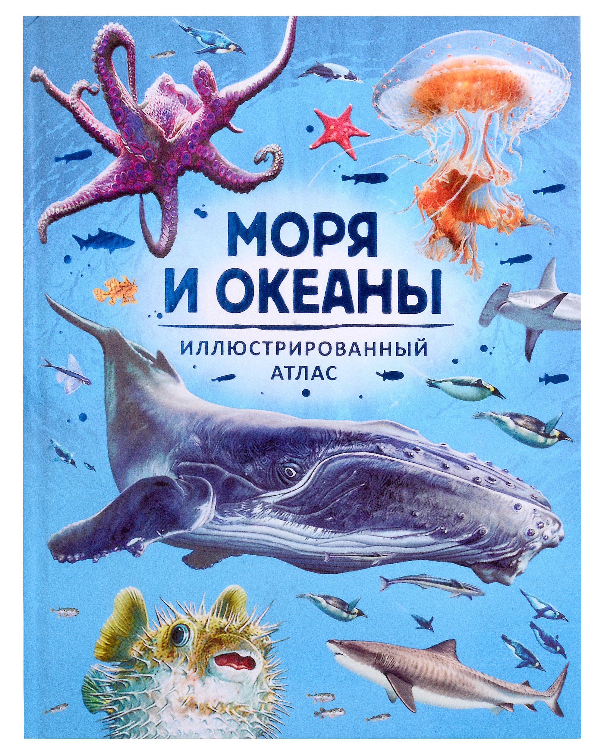 

Моря и океаны. Иллюстрированный атлас