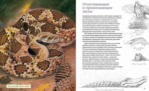 Книга Посмотри на меня. Шоу диких животных (Джим Арноски) — 3