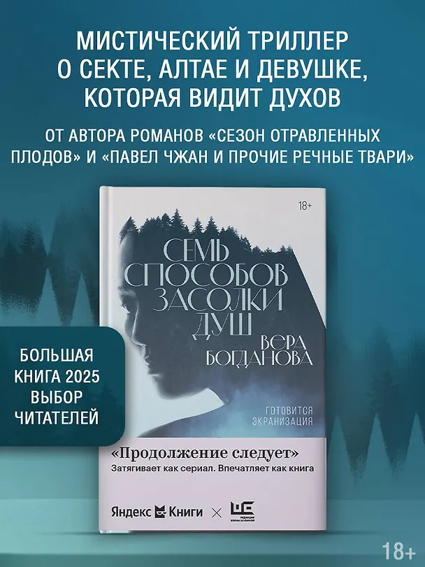 Книга Семь способов засолки душ (Вера Богданова) — 5