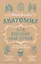 Анатомия для ищущих свой пупок — 3132014 — 1
