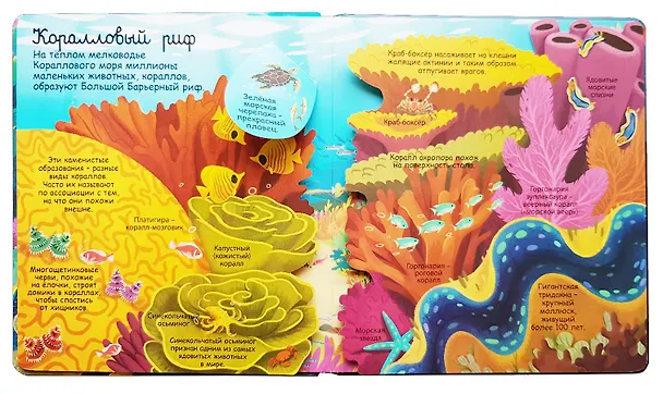 Книга Секреты морей и океанов (Меган Каллис) — 2