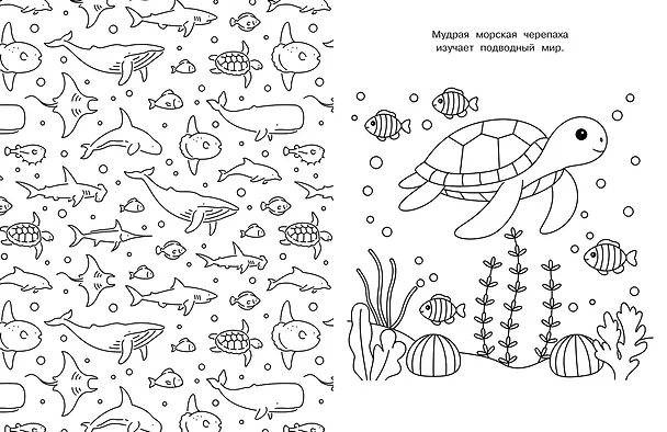 Книга Милые очаровашки (Иван Барсуков) — 12