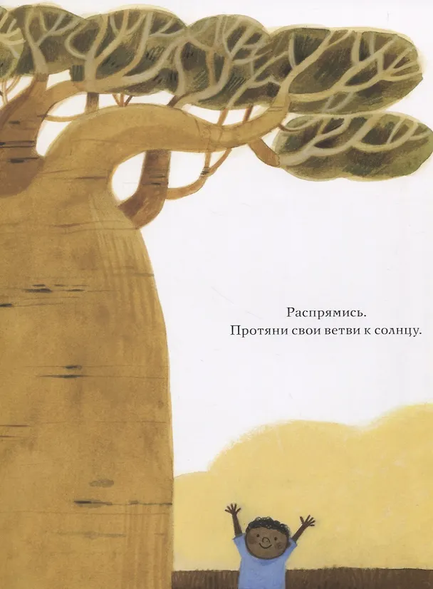 Книга Будь как дерево! (Мария Джанферрари) — 4