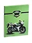 Дневник школьный Феникс+, "Мото на зеленом" — 240004 — 2