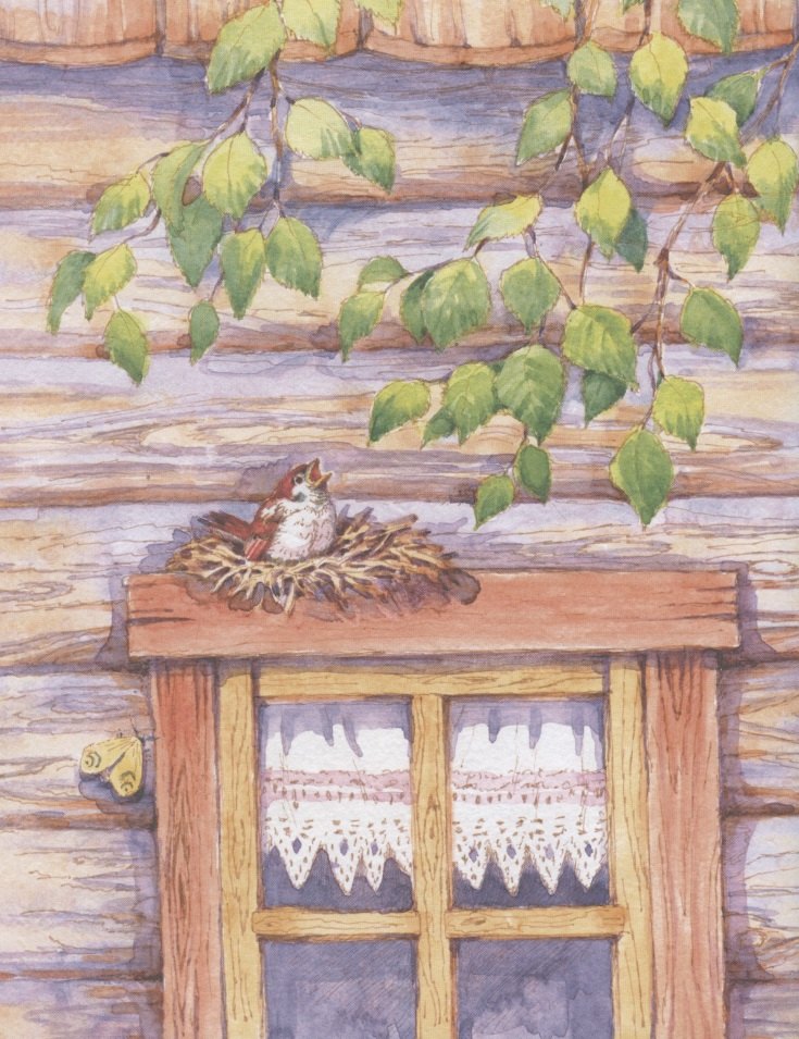 Изображение бумажной книги