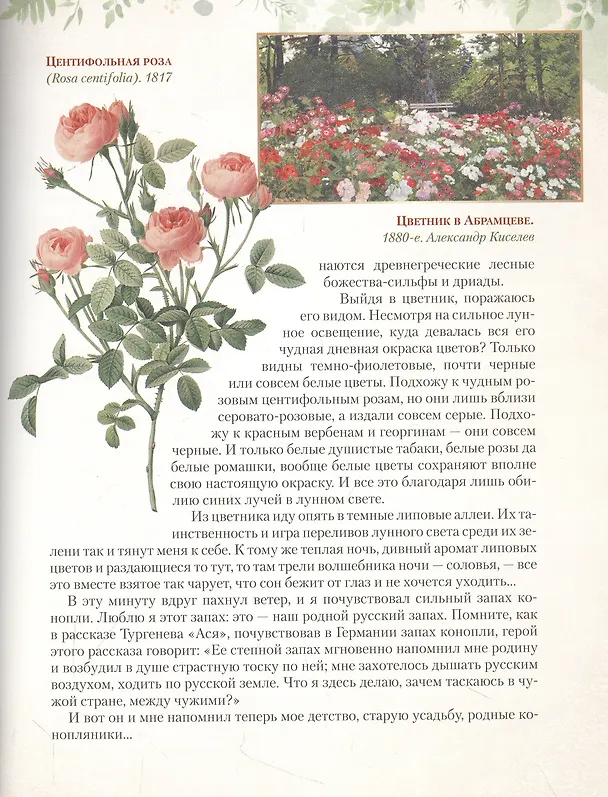 Книга Дары русского леса. Грибы, ягоды и целительные растения (Николай Золотницкий) — 5
