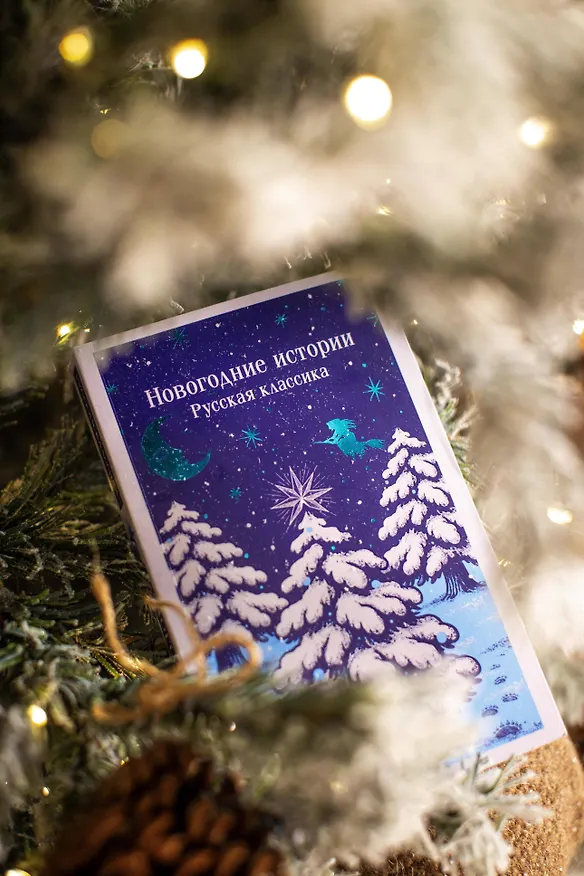 Книга Новогодние истории. Русская классика (Александр Куприн, Николай Лесков, Николай Гоголь, Федор Достоевский) — 13