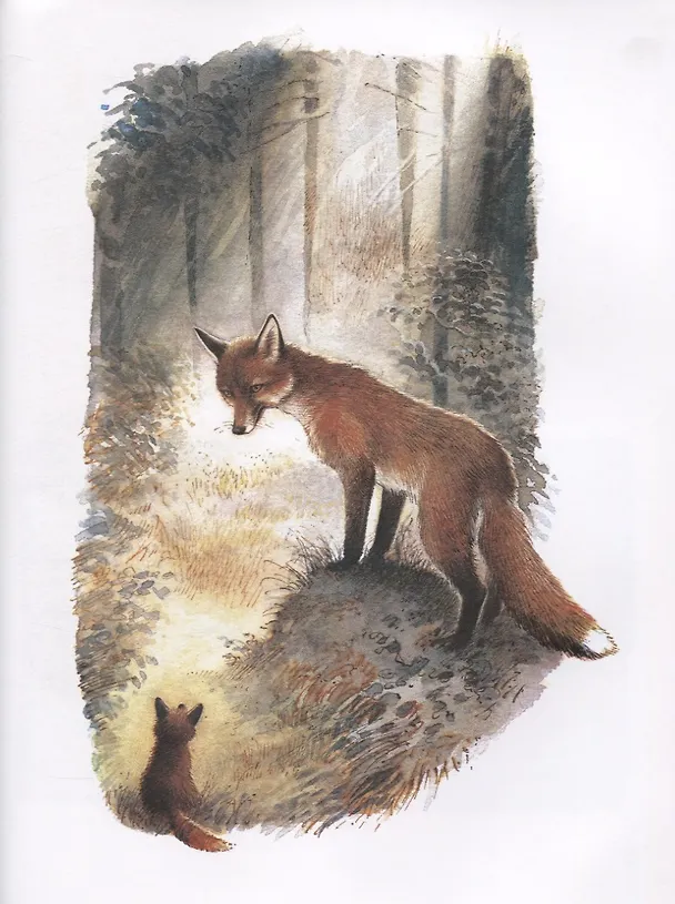 Книга Мама для лисёнка (Ирина Коршунова) — 3
