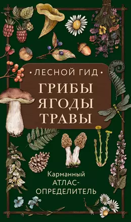 Лесной гид: грибы, ягоды, травы. Карманный атлас-определитель — 2941775 — 1