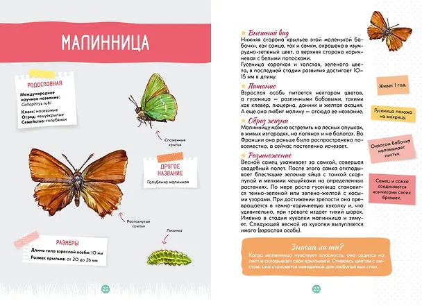 Книга Лесные животные (Ксавье Жапьо) — 15