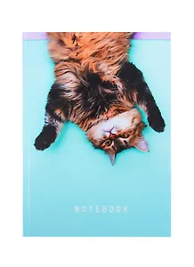 Книга для записей А5 80л кл. "Кошачье настроение" 7БЦ, глянц.ламинация