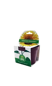 Набор для выращивания в горшочке Подсолнух (hpp-200)