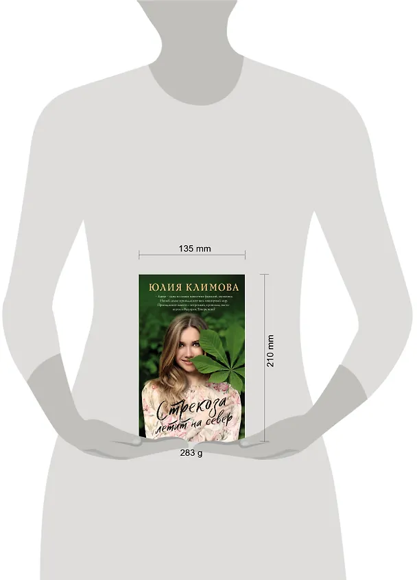 Книга Стрекоза летит на север (Юлия Климова) — 5