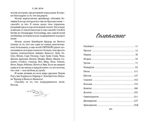 Книга Красавицы Бостона. Злодей (#2) (Л.Дж. Шэн) — 14