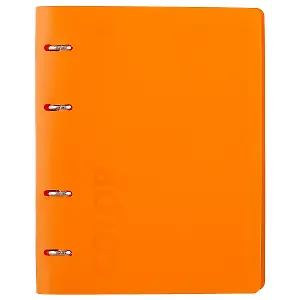 Тетрадь на кольцах в клетку Stila, Neon Orange, 120 листов