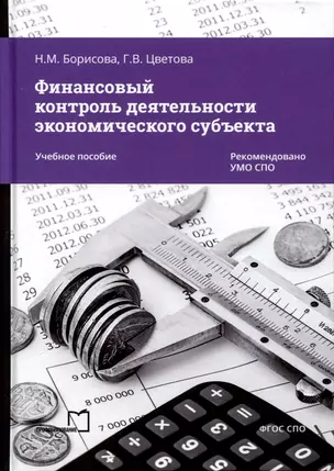 Финансовый контроль деятельности экономического субъекта — 3006743 — 1