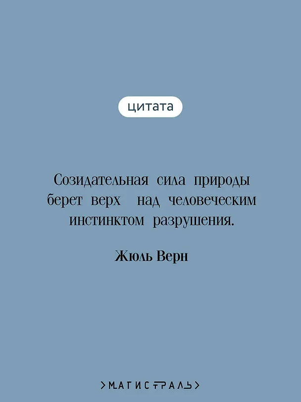 Книга Двадцать тысяч лье под водой (Жюль Габриэль Верн) — 7